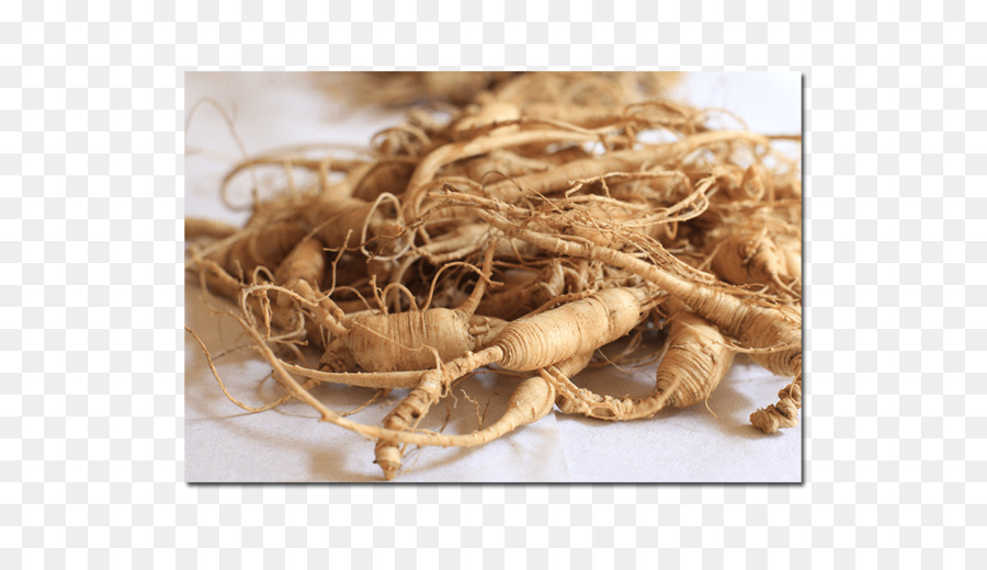 O Ginseng Asiático，Ginseng Americano PNG