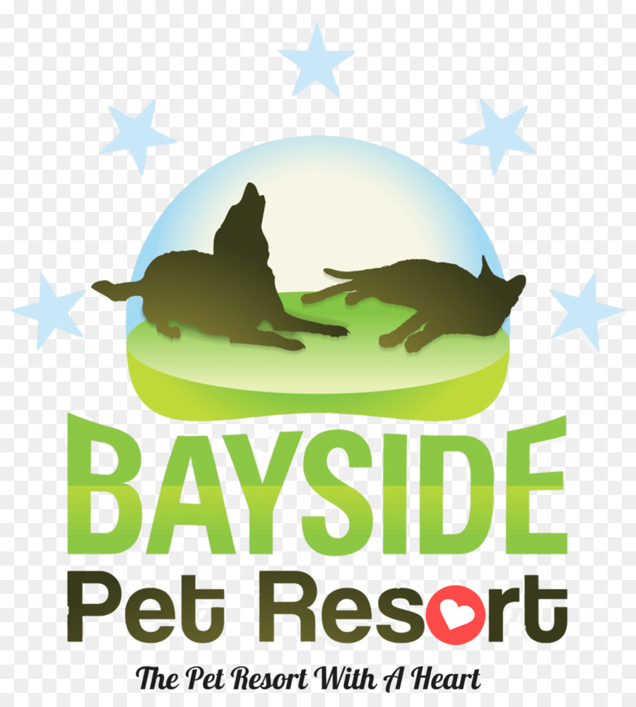 Sarasota，Bayside Pet Resort PNG