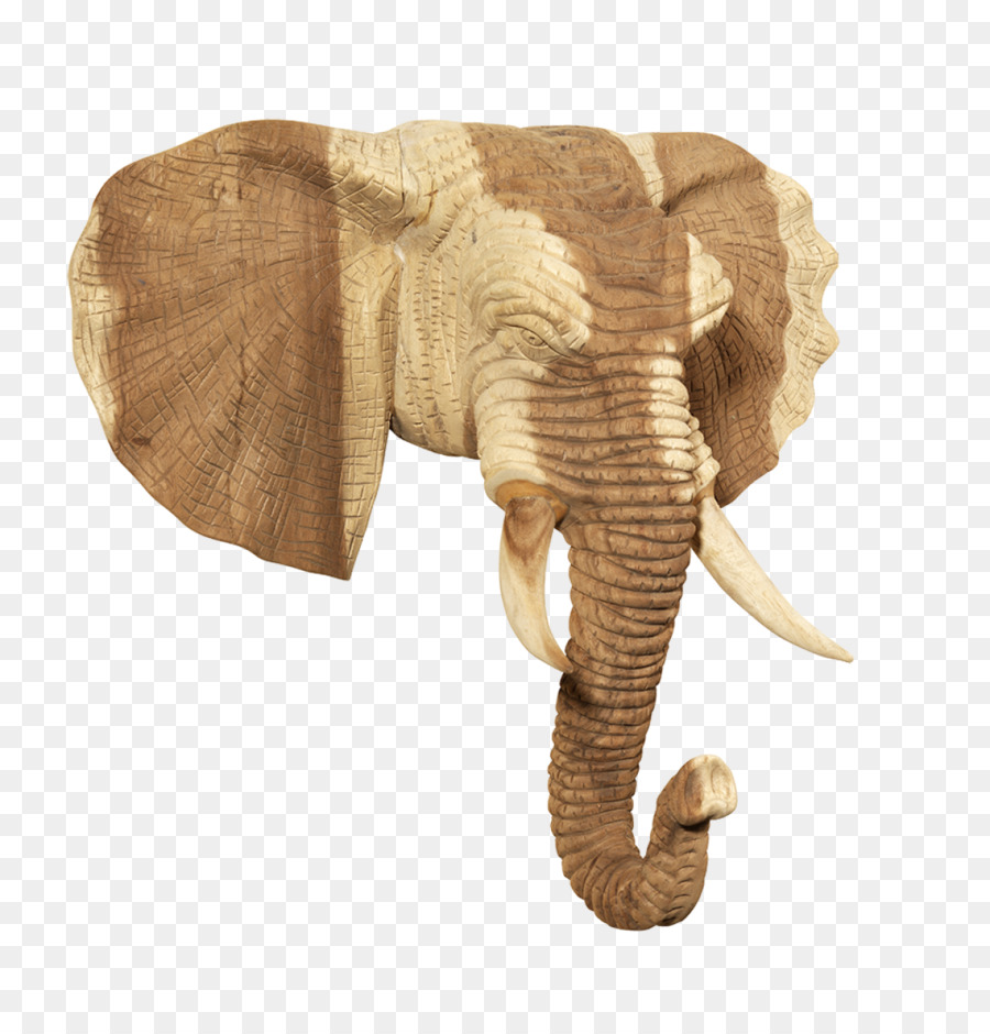 Cabeça De Elefante，De Madeira PNG