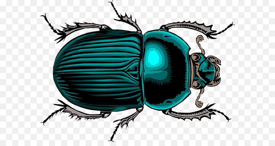 Dung Beetle，Besouro PNG