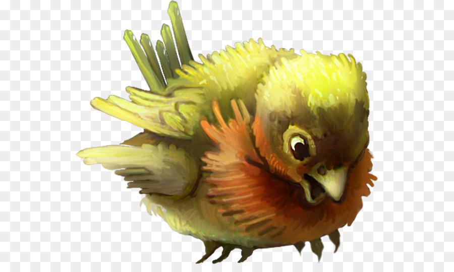 Periquito，Aves PNG