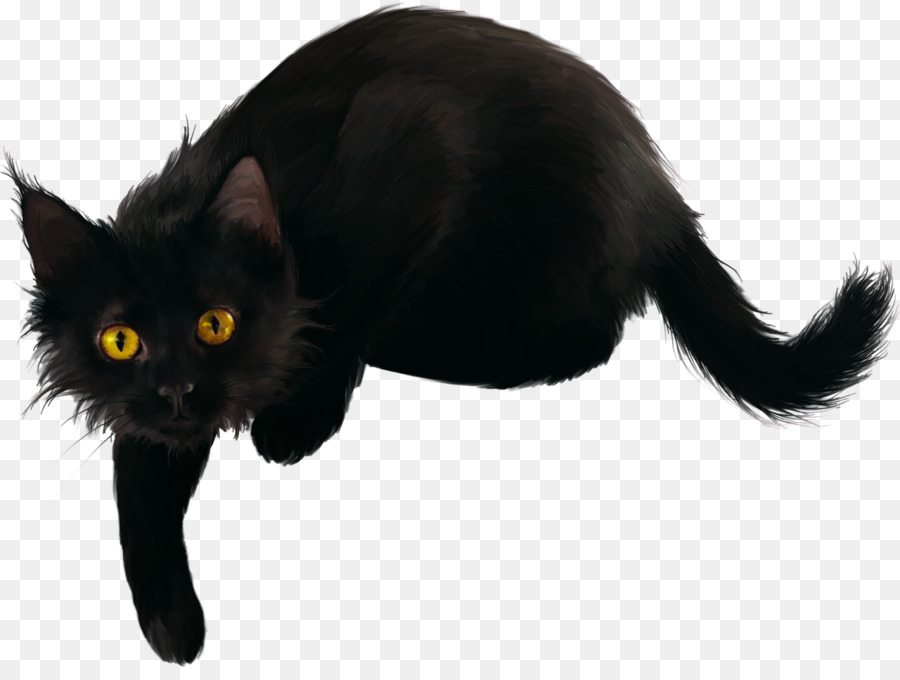 Gato Preto，Bombay Gato PNG