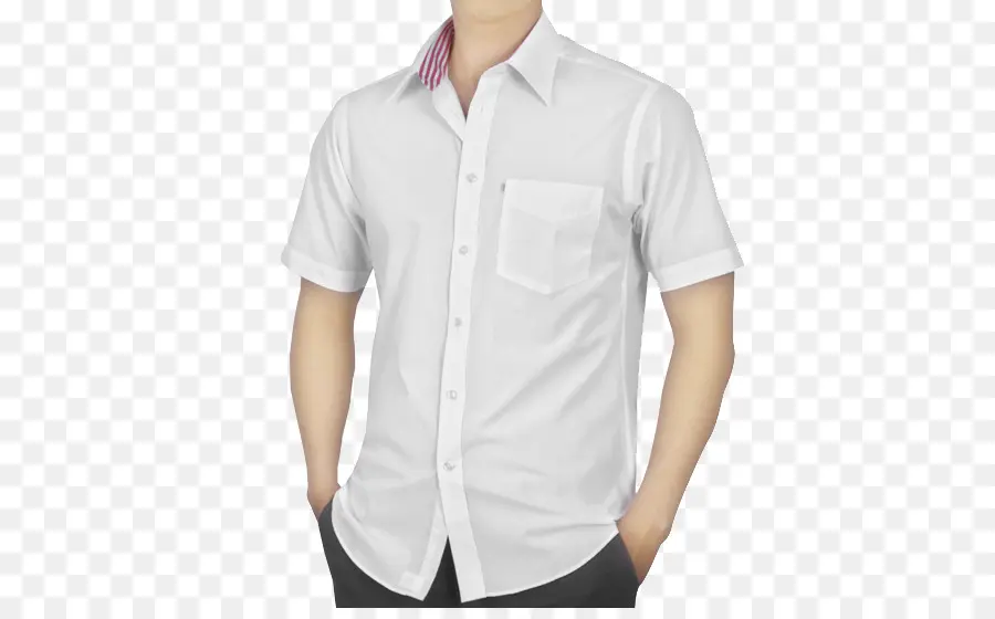 Camisa Branca，Formal PNG