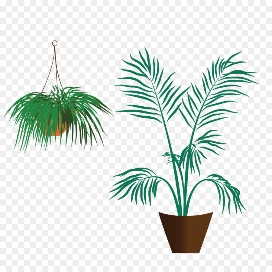 Arecaceae，Flowerpot PNG