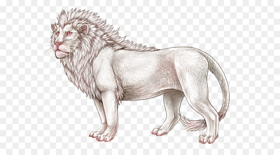Leão，O Grande Gato PNG
