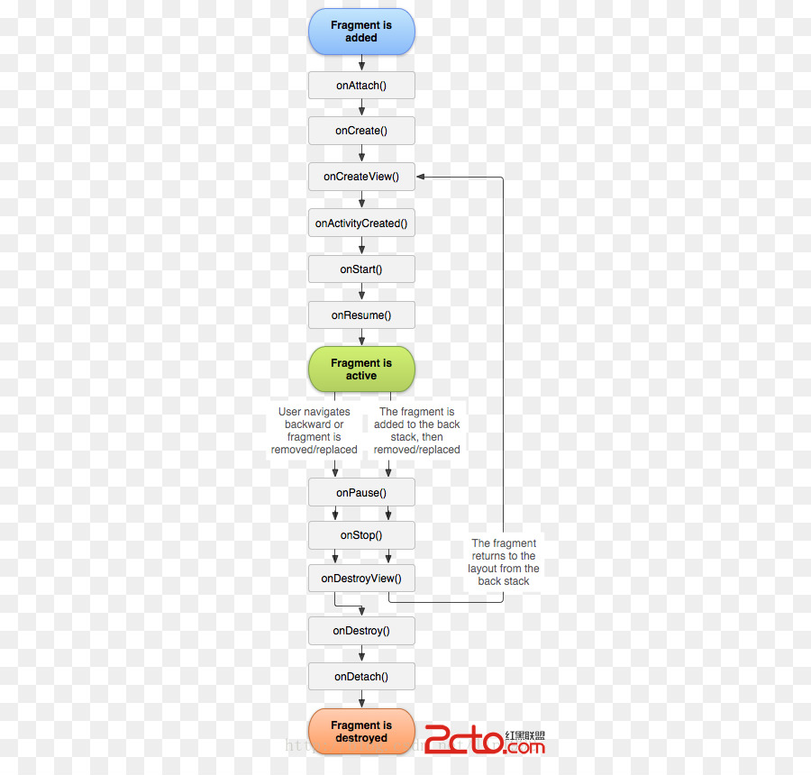 Através De Um Buraco Coisas，Ciclo De Vida Biológica PNG