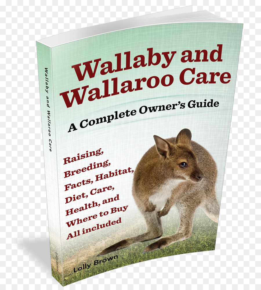 Wallaby E Wallaroo Cuidados De Um Completo Manual Do Proprietário，Coelho PNG