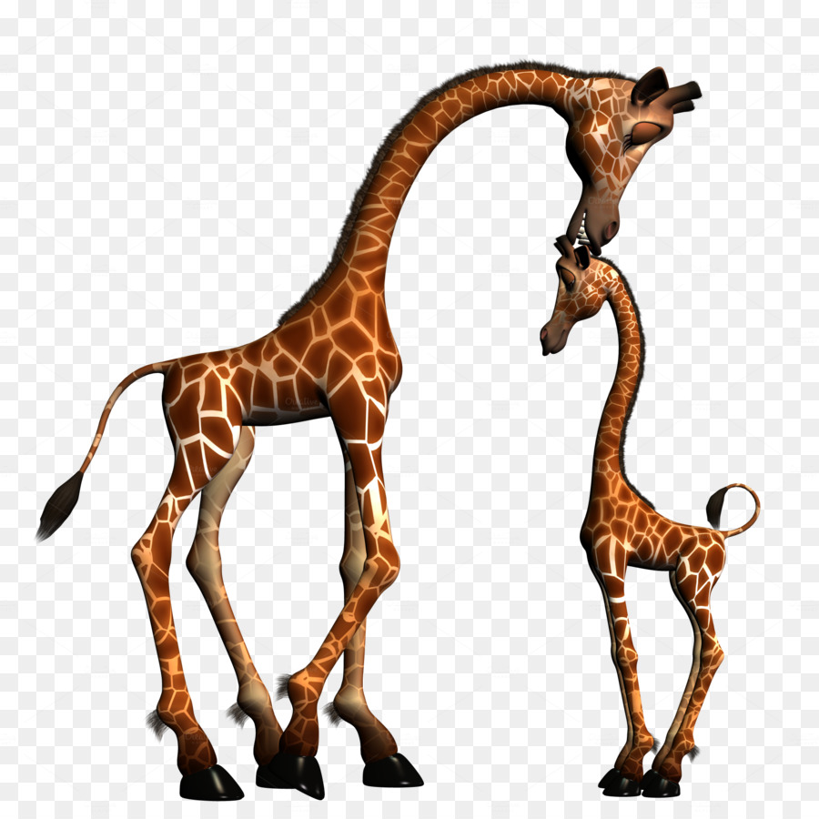 Girafas，Mãe PNG