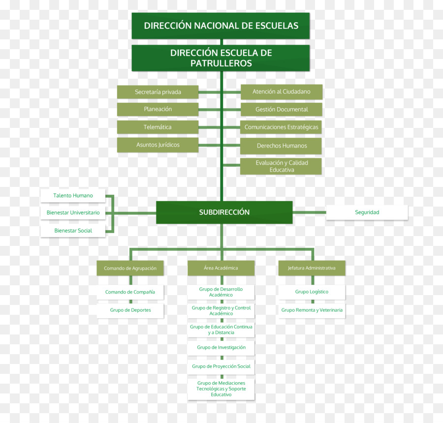 Organização，Gráfico Organizacional PNG