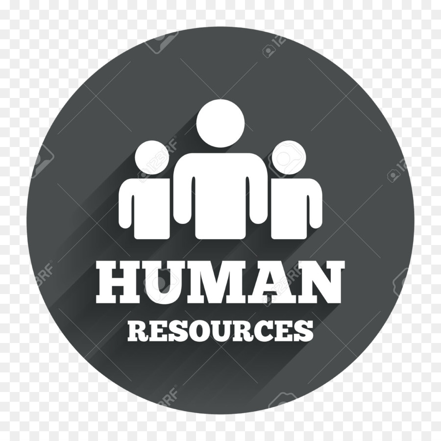 Human Resource，Gestão De Recursos Humanos PNG