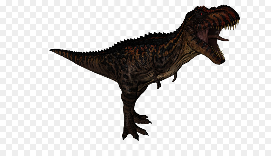 Ceratosaurus，Tiranossauro PNG