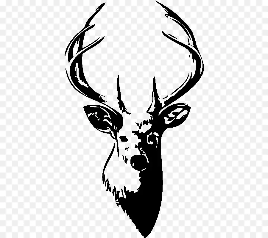Deer，Bacup Cricket Club PNG