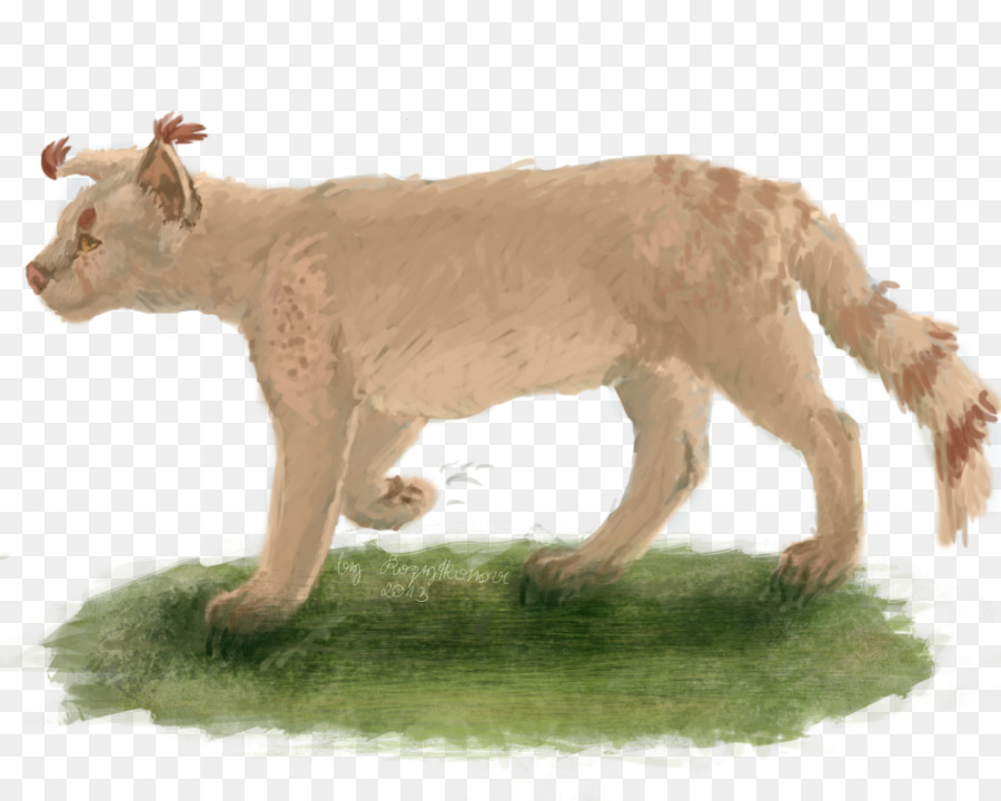 Leão，Gato PNG