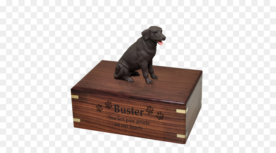 Urn，Shih Tzu PNG