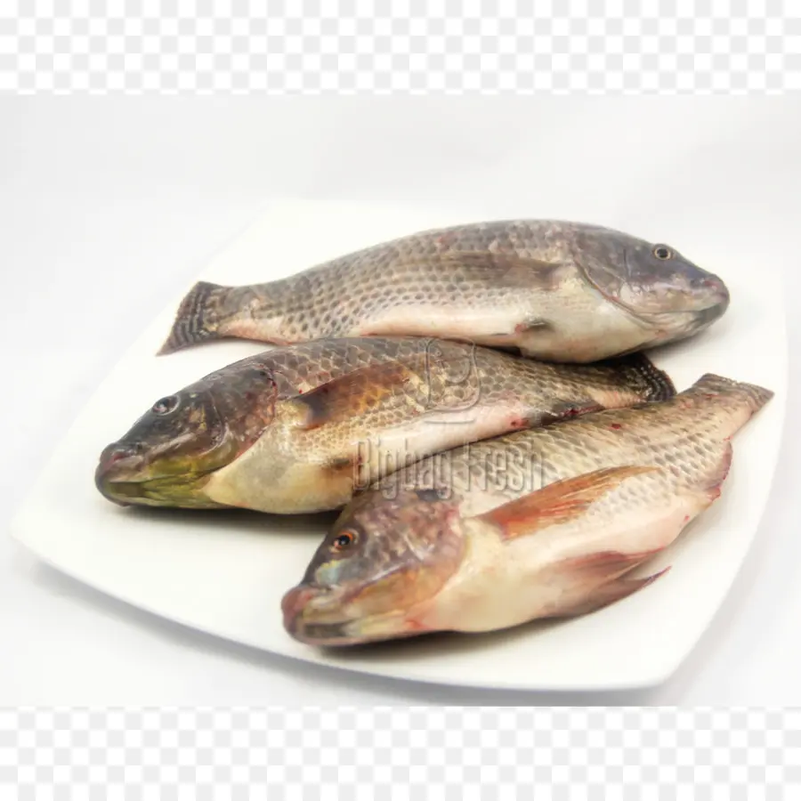 Peixe，Placa PNG