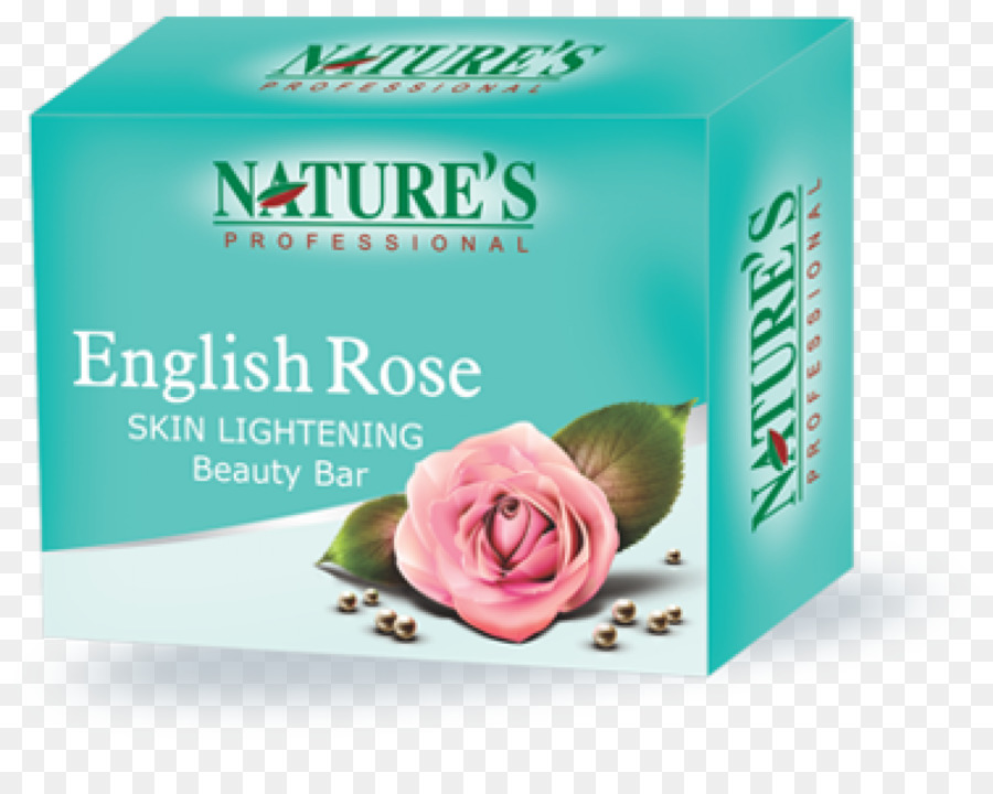 Inglês Rosa，Creme PNG