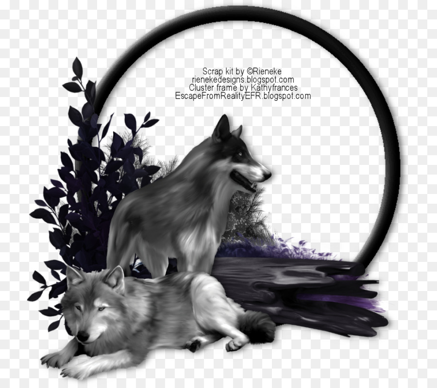 Lobos，Floresta PNG