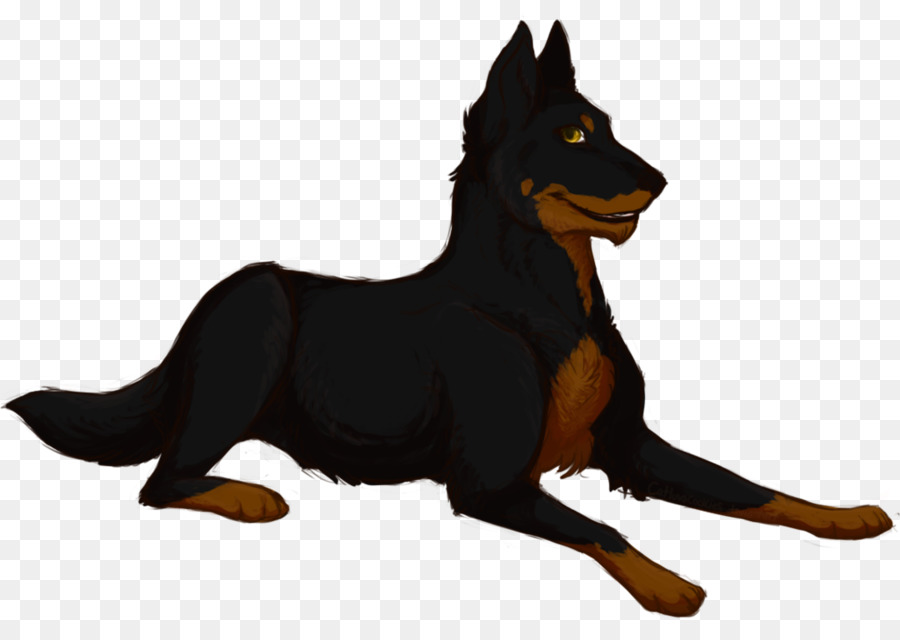 Ormskirk Terrier，Kelpie Australiano PNG