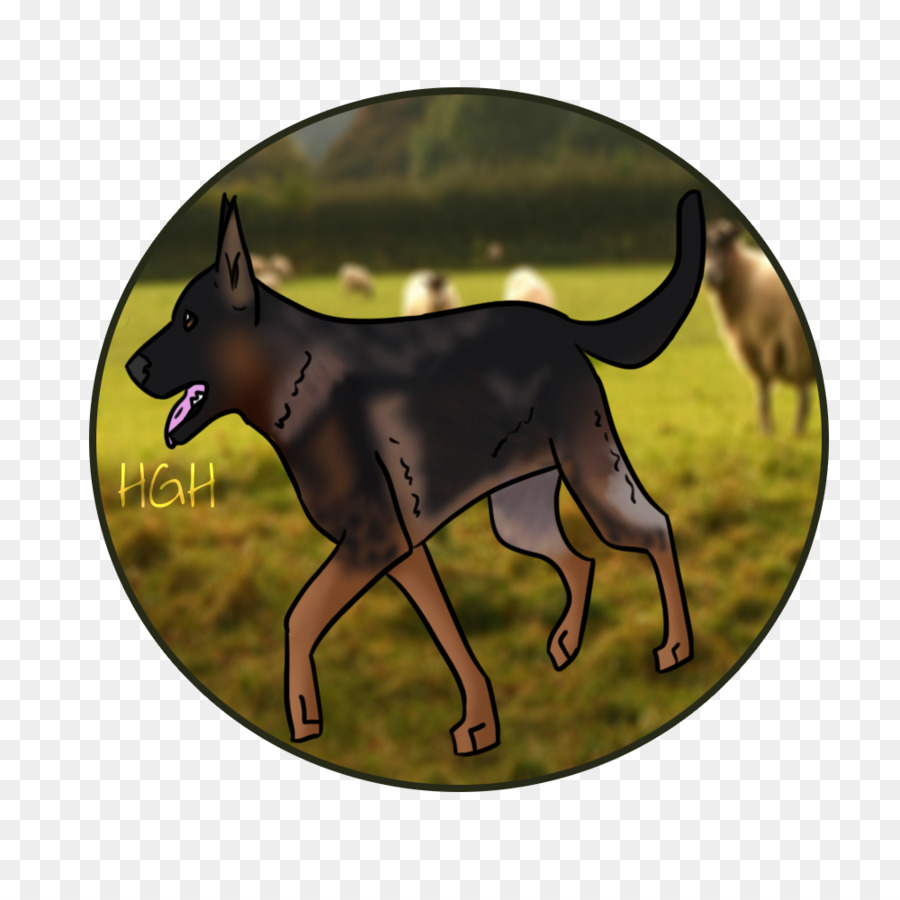 O Manchester Terrier，Kelpie Australiano PNG