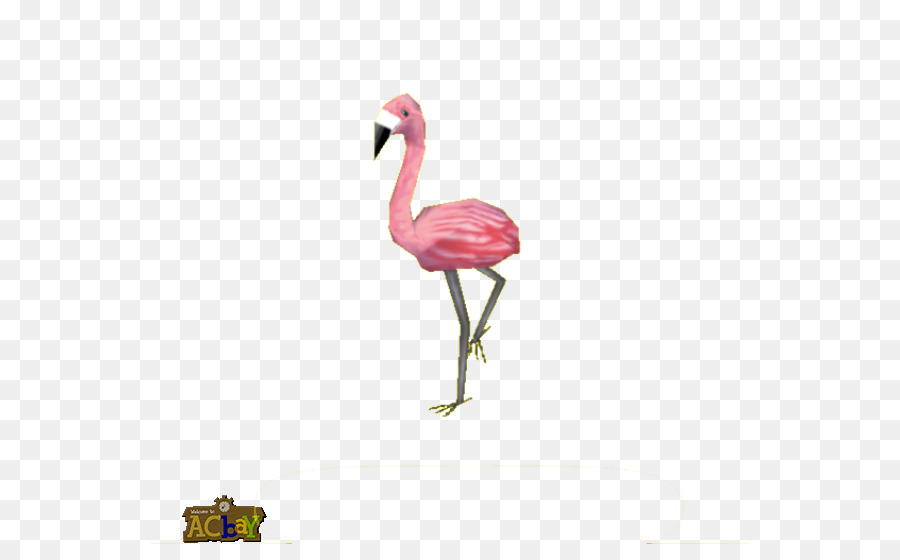 Guindaste，Aves PNG