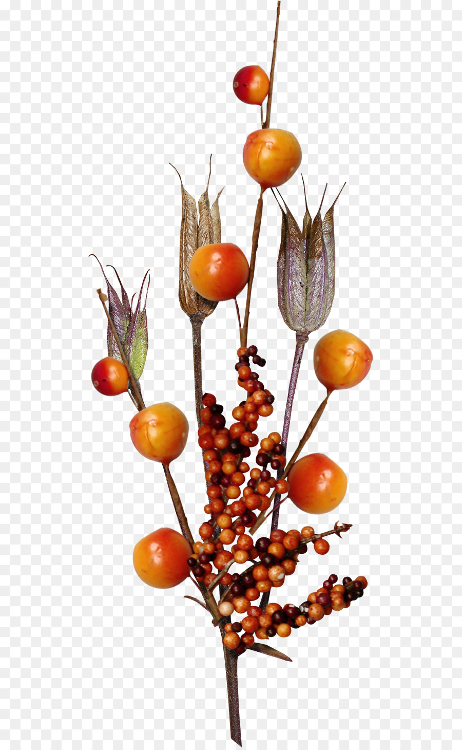 Frutas， PNG