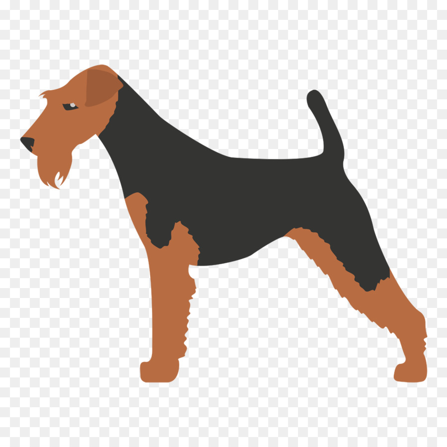 Cachorro Collie，Marrom PNG