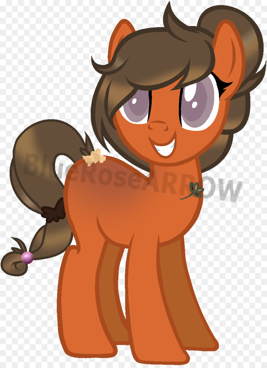 Gato，Cavalo PNG