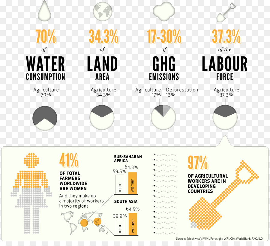 Infográfico，Estatísticas PNG