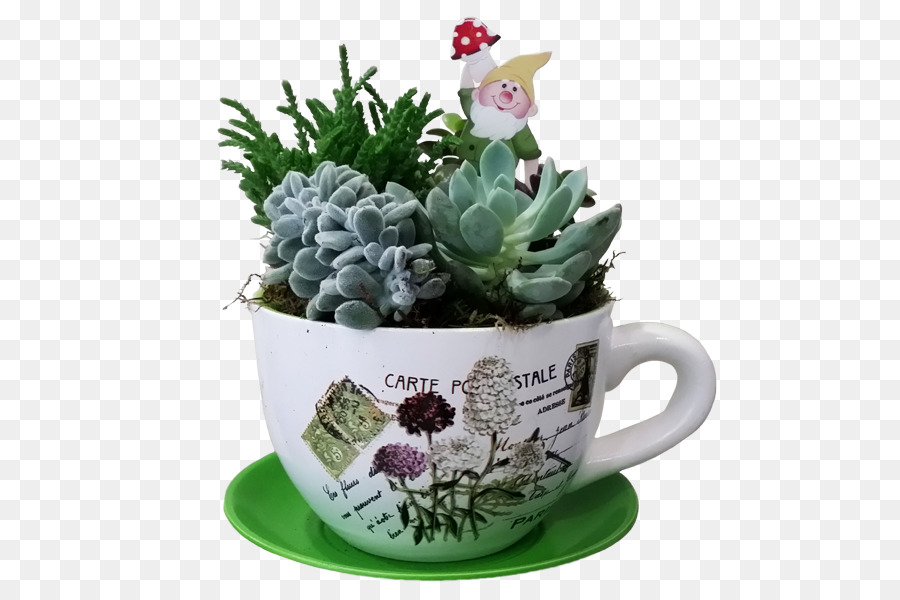 Planta Suculenta，Xícara PNG