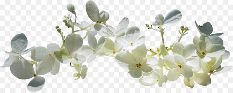 Primavera，Texto PNG