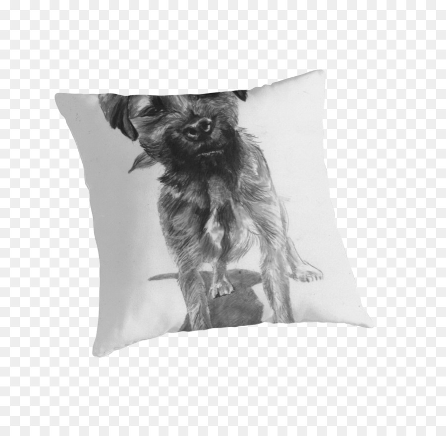 Border Terrier，Travesseiro PNG
