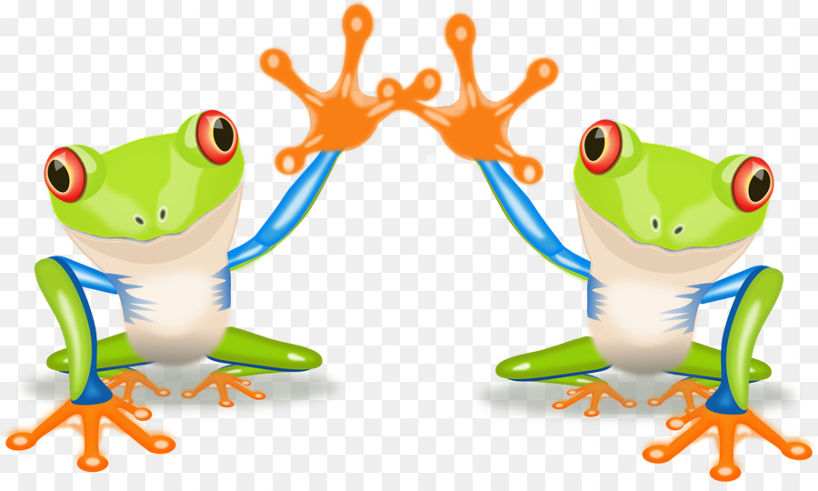 Sapo，Tree Frog PNG