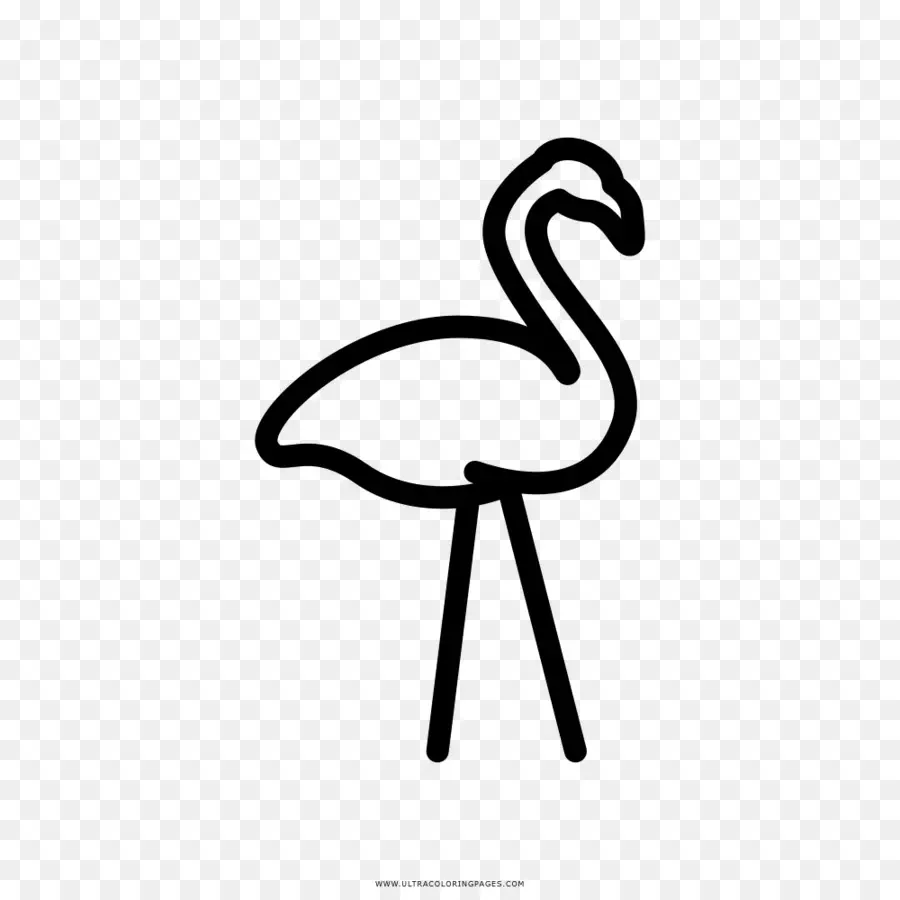 Flamingo，Pássaro PNG