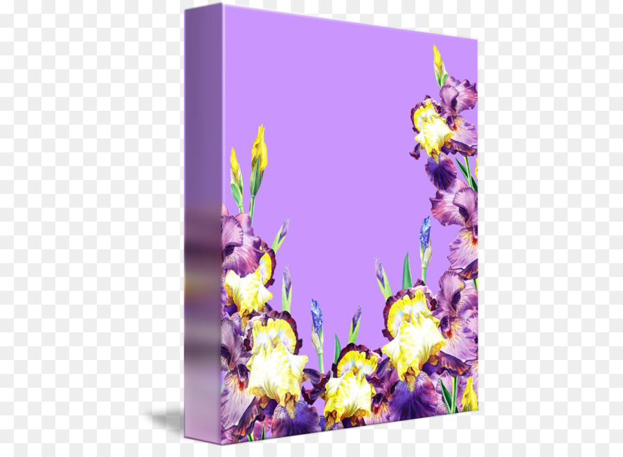 Lavanda，Lona PNG