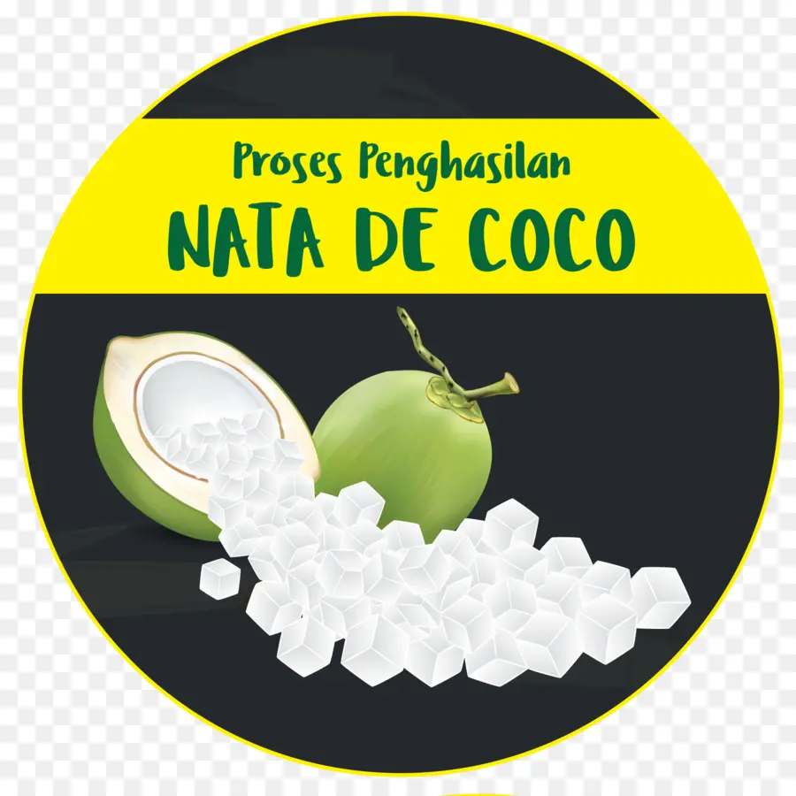 Nata De Coco，Coco PNG