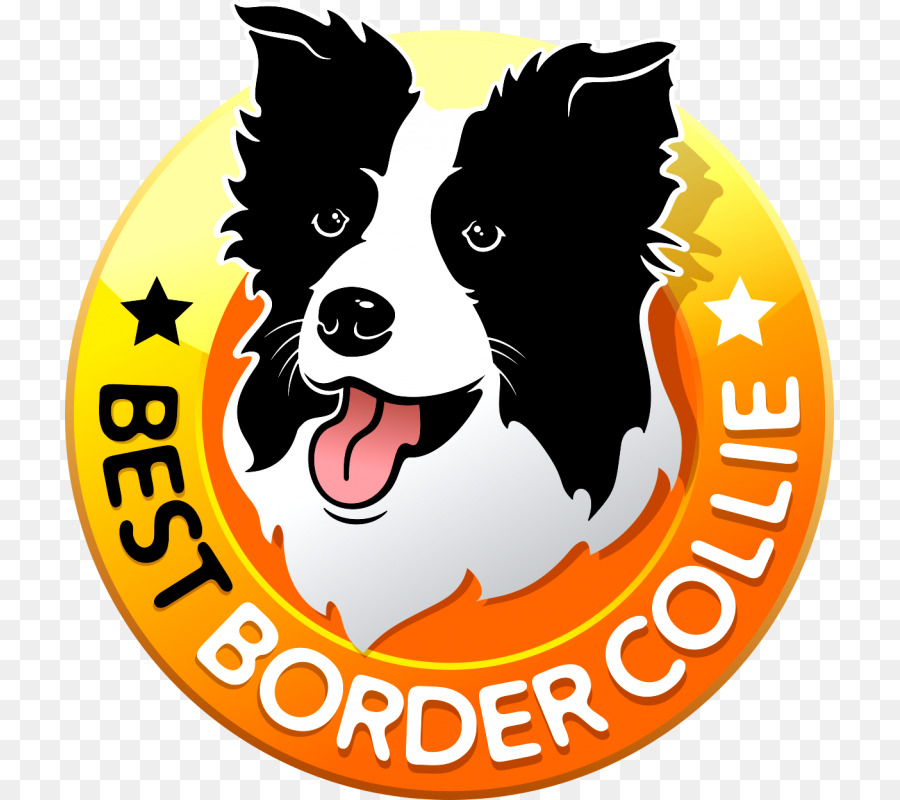 Border Collie，Cachorro PNG