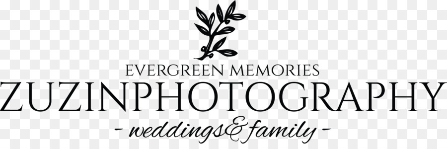 Casamento，Fotógrafo PNG