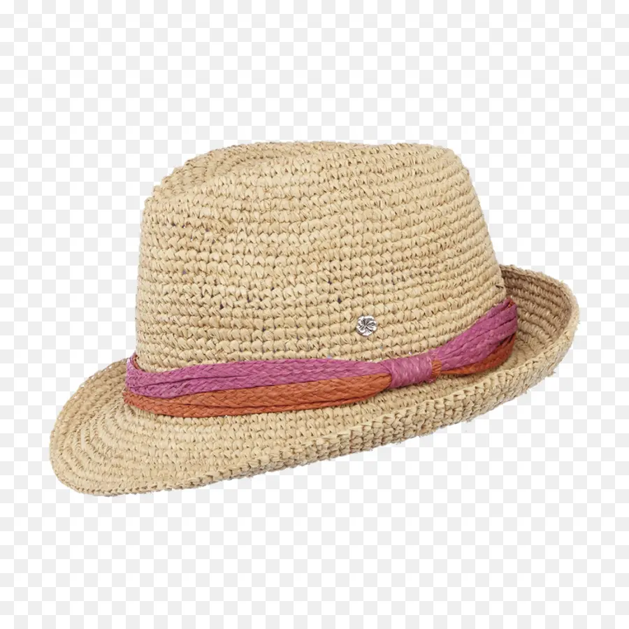 Fedora，Chapéu PNG