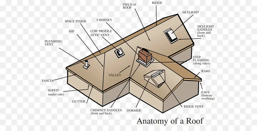 Diagrama Do Telhado，Anatomia PNG