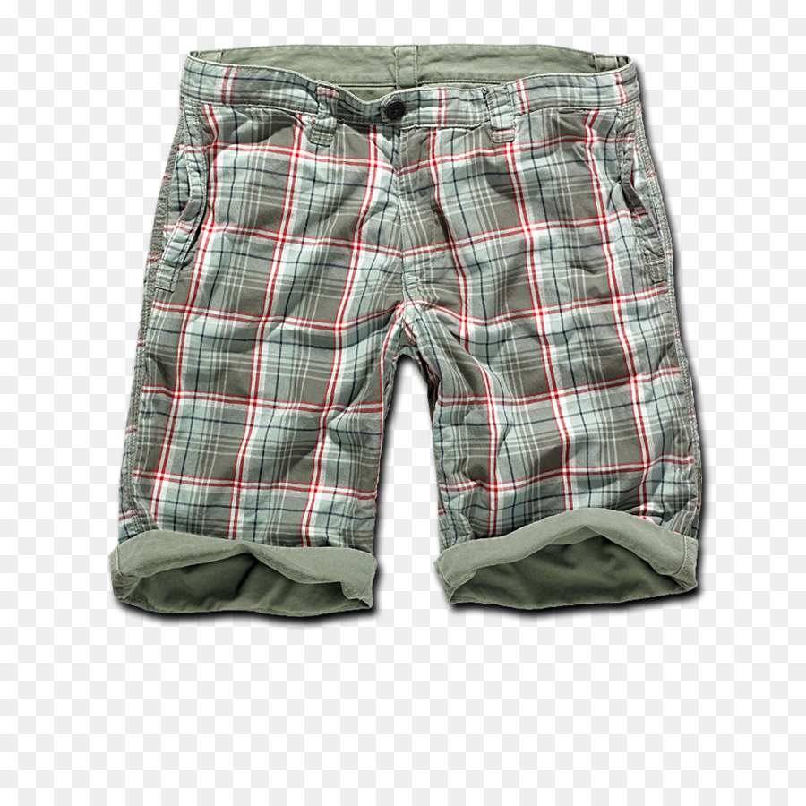 Bermuda Shorts，Troncos PNG