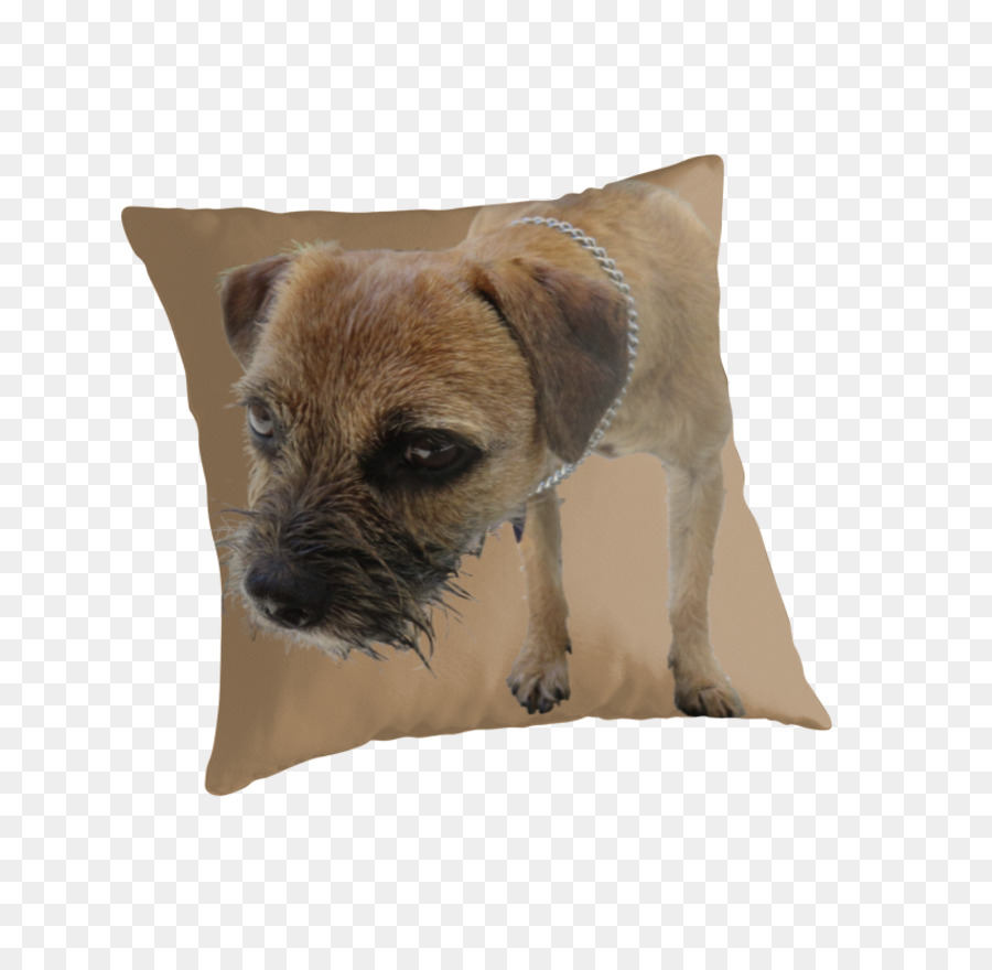 Border Terrier，Cairn Terrier PNG