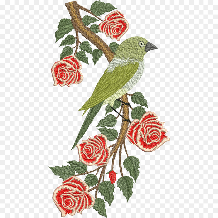 As Rosas Do Jardim，Aves PNG