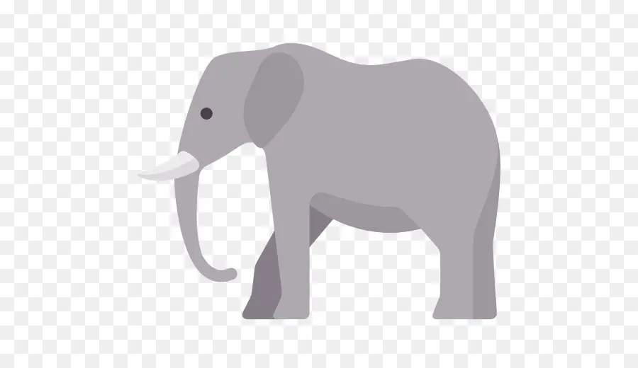 Elefante Indiano，Elefante Africano PNG