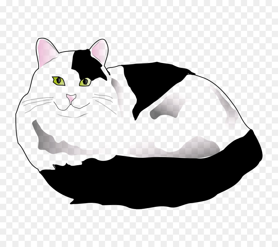 Gato，Preto E Branco PNG