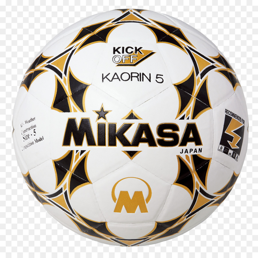 Mikasa Esportes，Voleibol PNG
