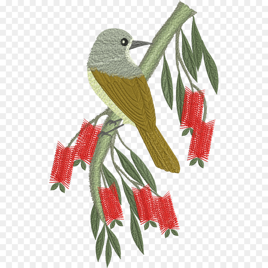 Papagaio，Embroidery PNG