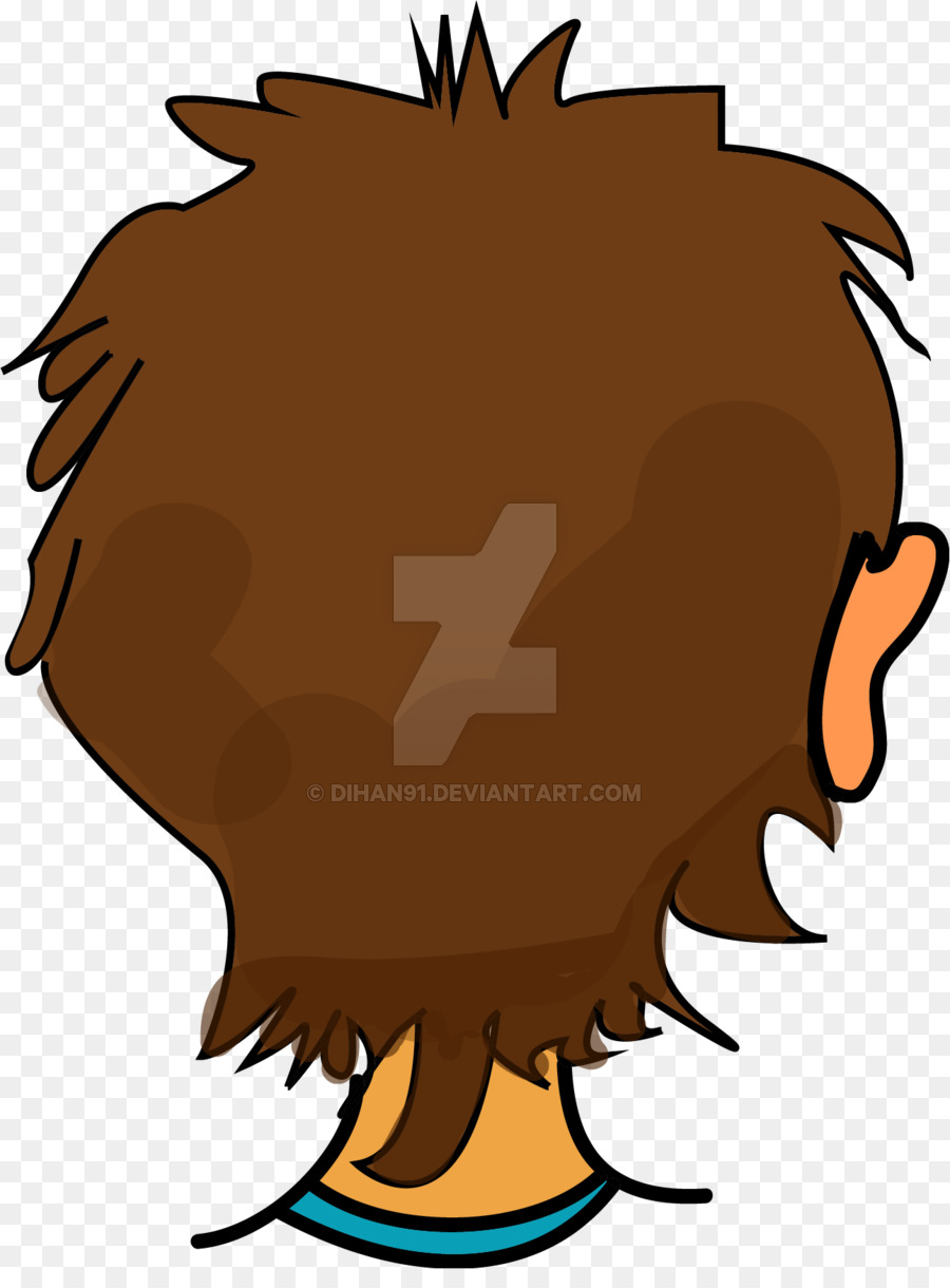 Parte De Trás Da Cabeça，Cabelo PNG