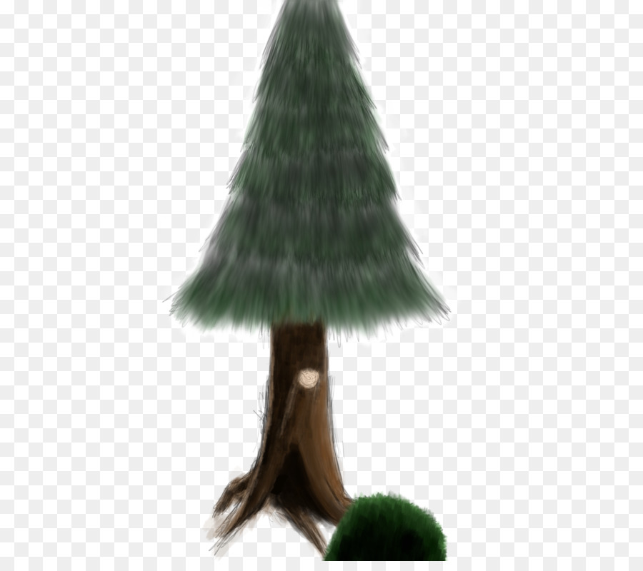 Tshirt，Pine PNG