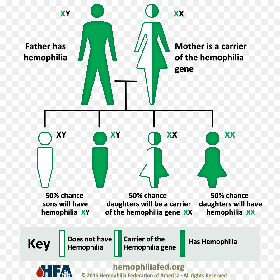 A Hemofilia，A Hemofilia Um PNG