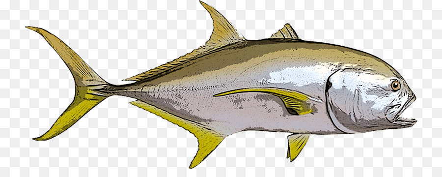 Peixe，Mar PNG